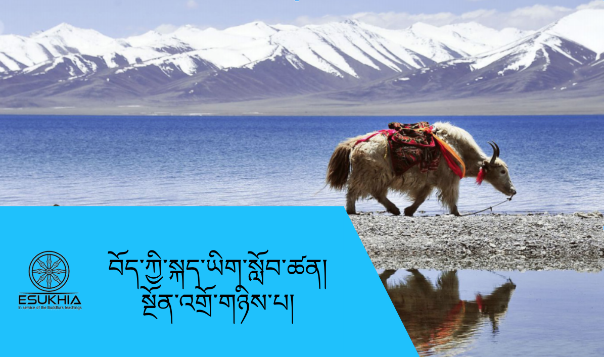 བོད་ཀྱི་སྐད་ཡིག སྔོན་འགྲོ་གཉིས་པ། TSLA0+